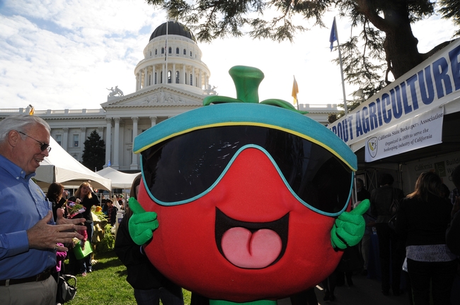 Join the Big Tomato, the California Women for Agriculture, the California Foundation for Ag in the Classroom, and CDFA for Ag Day today at 11:30.