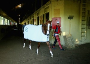 California-grown thoroughbred California Chrome has a shoe deal in place ahead of Saturday's race for the Triple Crown.  