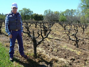 Dry farming