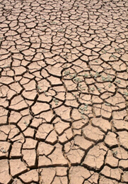 climate change dry land