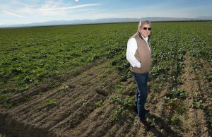 Sano Farms field manager Jesse Sanchez, 63, of Fresno, stands in a field filled with ground cover on Nov. 18 in Firebaugh. He recently won recognition from the White House for his contributions to the farming operation, including new soil and tilling techniques. The ground cover will be tilled into the soil which will enrich the soil with organic material to help the crop that will be planted in the spring. Silvia Flores, Fresno Bee.