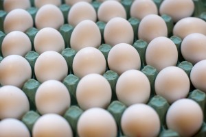 Eggs in a large carton