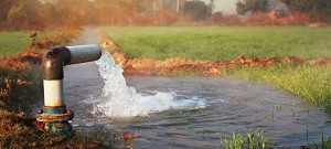 Water is flowing from a large pipe into an irrigation canal. The focus is on the water coming out of the pipe. There is wheat crop and trees in the back ground and they are blurred.