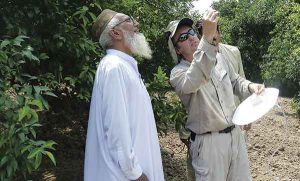 UC Riverside entomologist Mark Hoddle in Pakistan on a search for natural predators for invasive species.