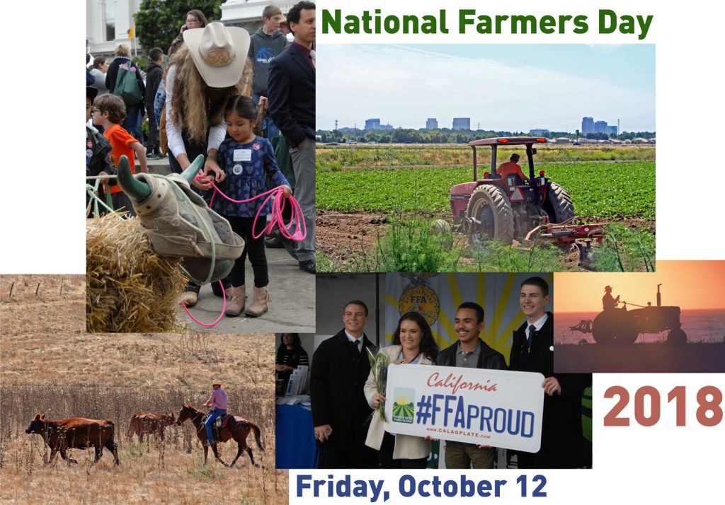 Photo montage: National Farmers Day 2018