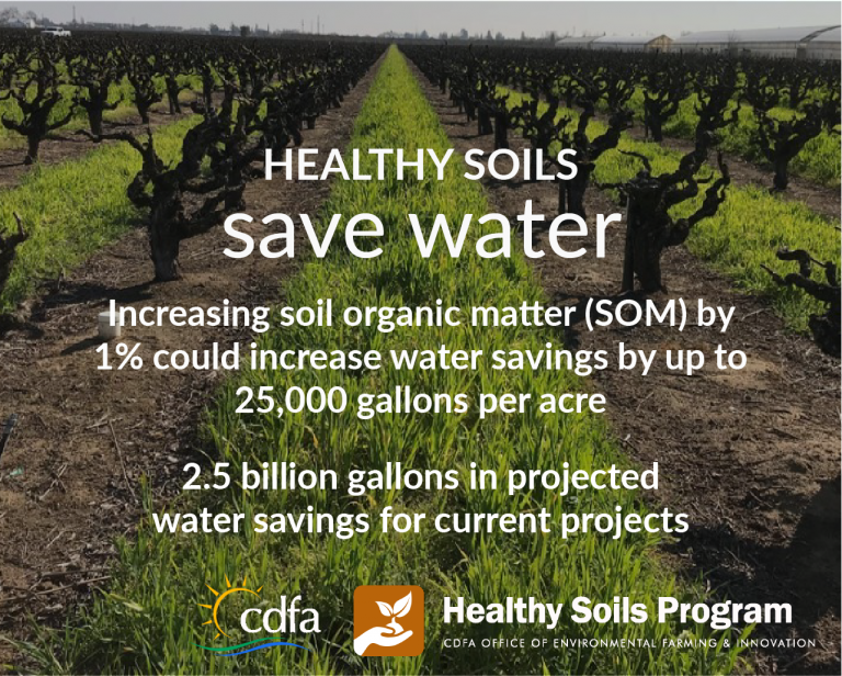 Healthy Soils Week Healthy Soils Save Water Cdfa S Planting Seeds