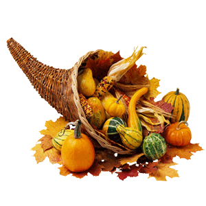 Cornucopia full of gourds