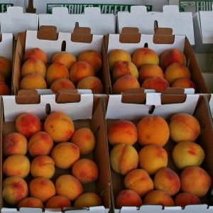 Crates of peaches