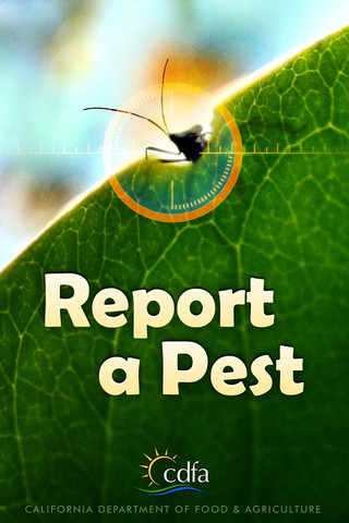 Department of Agriculture starts invasive pest trapping season