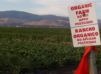 Sign reading ORGANIC FARM DO NOT APPLY PESTICIDES