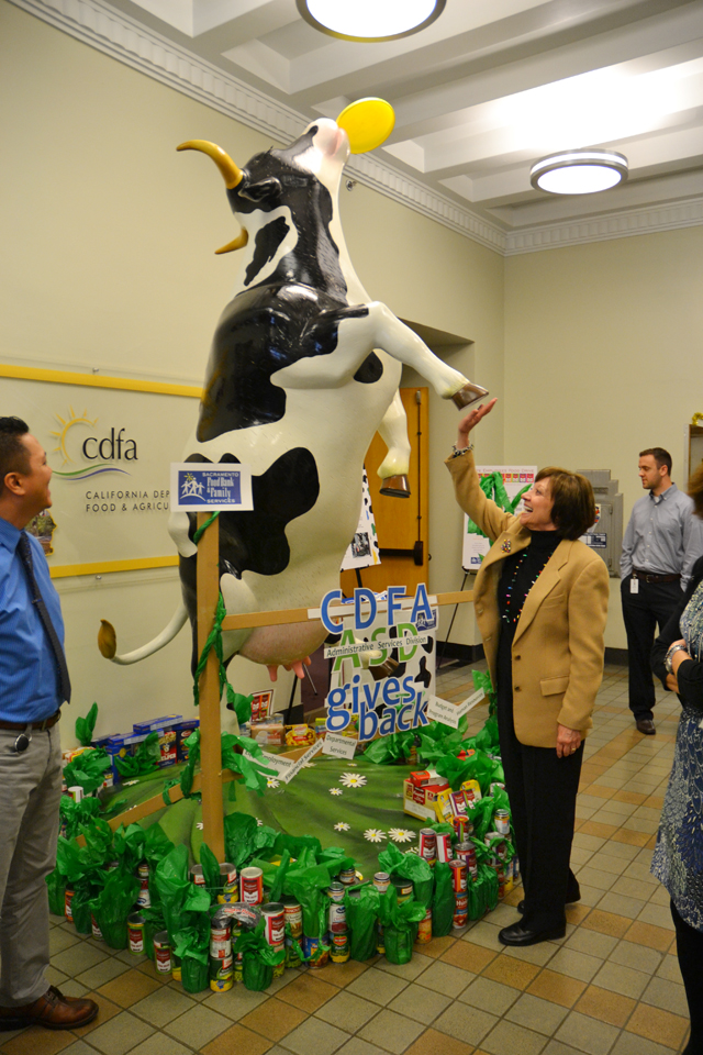 Daisy the cow gets the high hoof from Secretary Ross