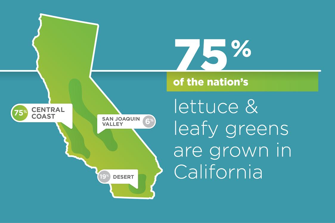 A look at yearround lettuce production from California’s Leafy