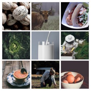 Montage of various agricultural subjects