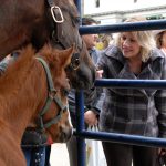 Ag Day attendee petting a horse