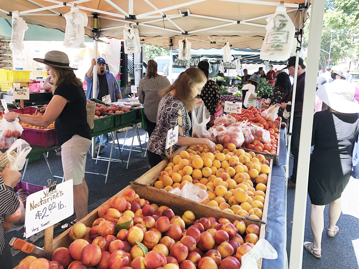 NATIONAL FARMERS MARKET WEEK - August 4-10, 2024 - National Today