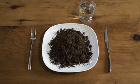 Soil on a plate. 