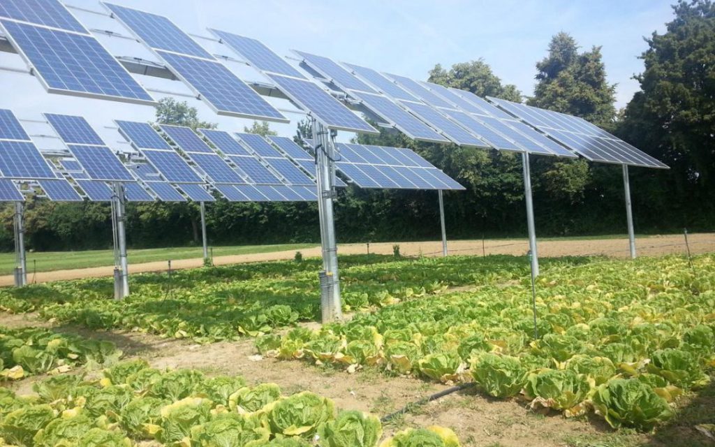 Solar panels on a California farm 