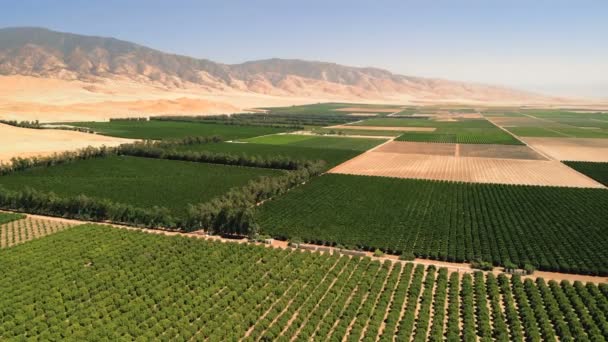 Farmland as seen from a plane. 