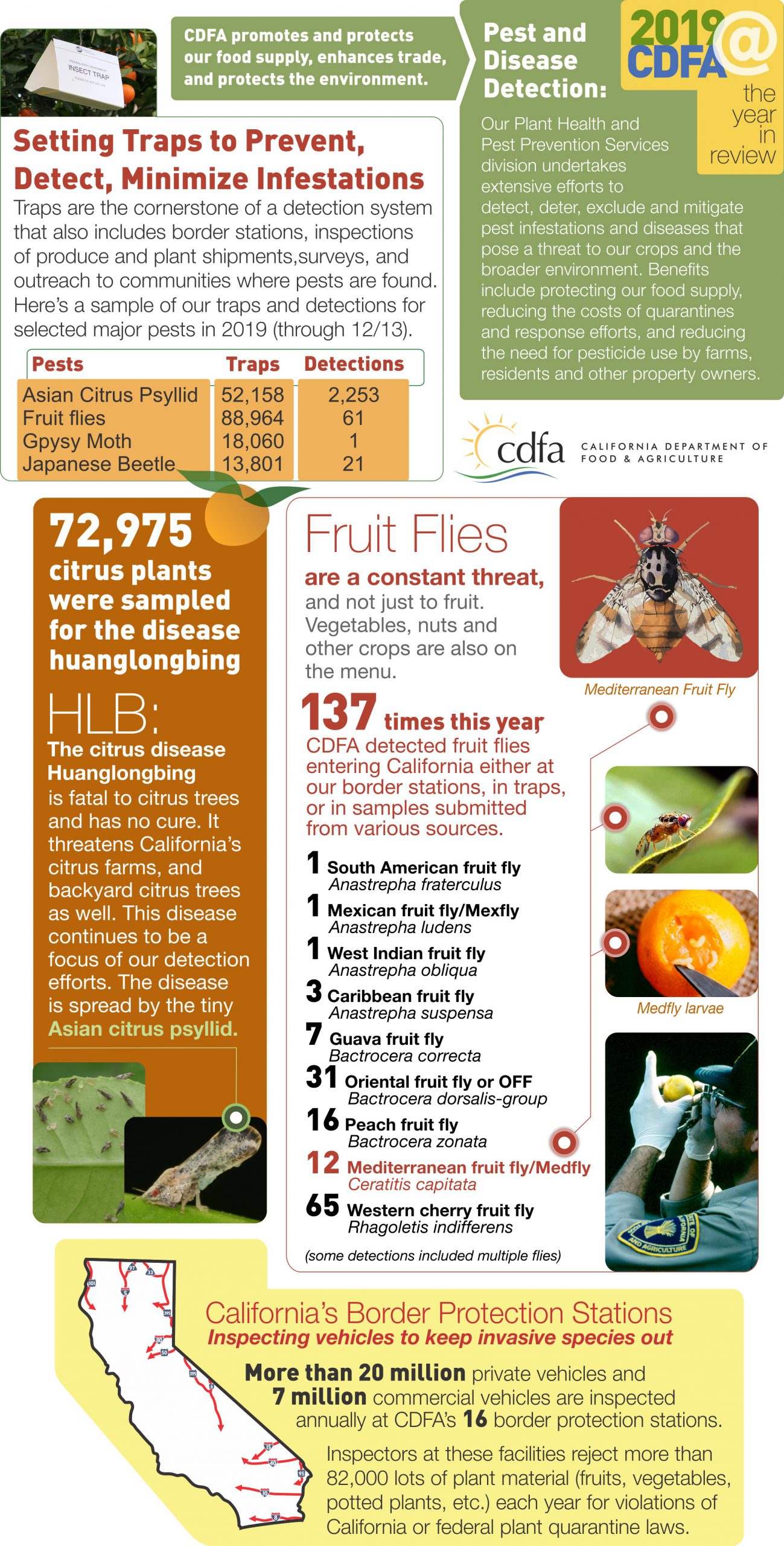 2019 in Review: Protecting Crops, Animals and More from Pests and Diseases  – CDFA's Planting Seeds BlogCDFA's Planting Seeds Blog