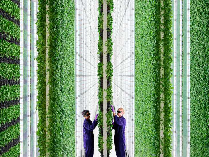 Urban indoor vertical farm run partly by robots may be glimpse into the future – from LAist