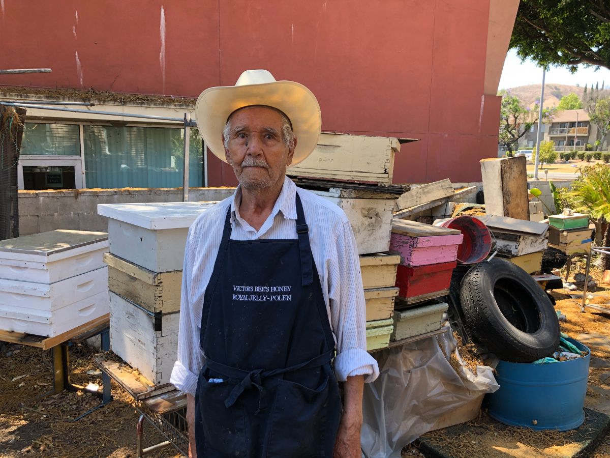 Beekeeping the old way, News