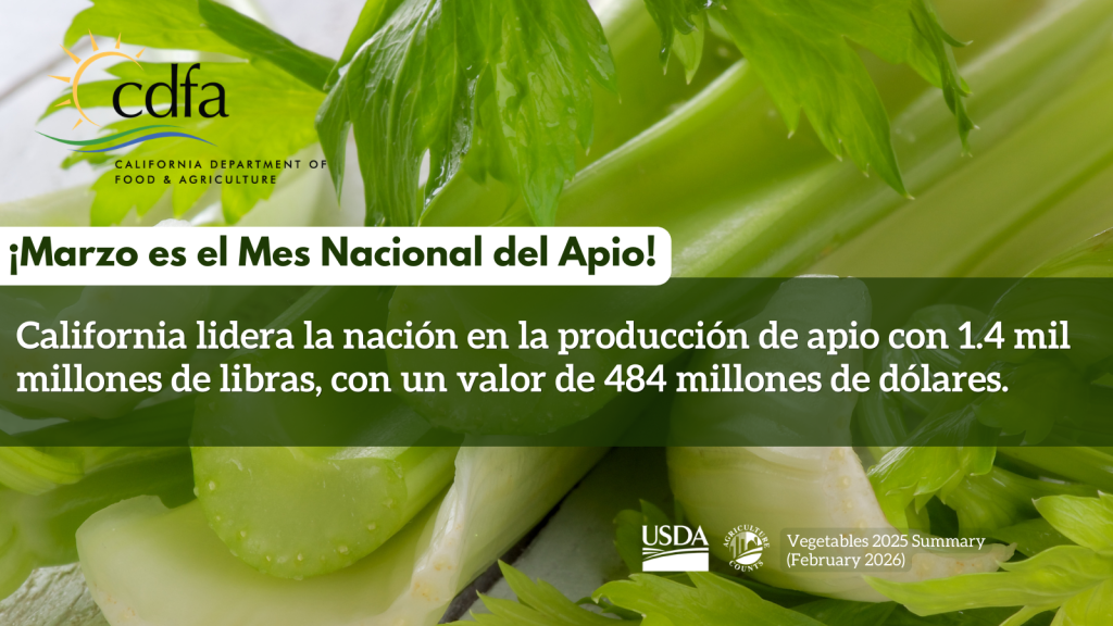 imagen de apio. ¡Marzo es el Mes Nacional del Apio!
California lidera la nación en la producción de apio con 1.4 mil
millones de libras, con un valor de 484 millones de dólares.